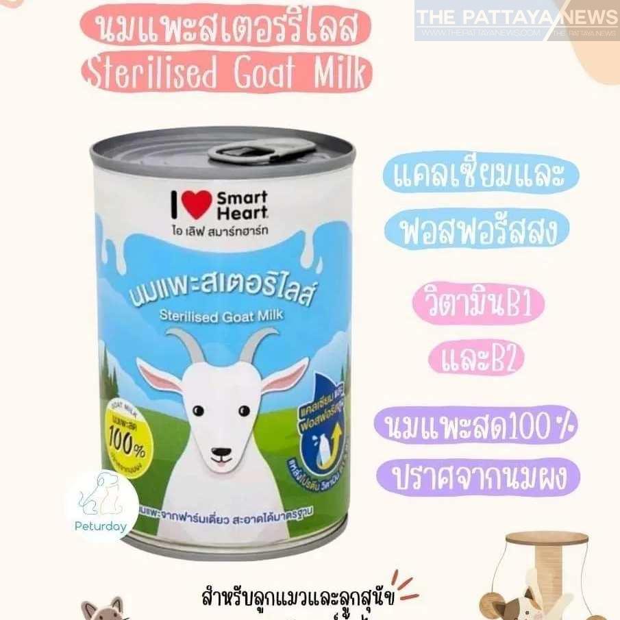, Peturday: Elevating Pet Care in Pratumnak, Pattaya, We love Thailand